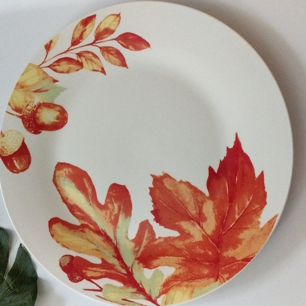 Porcelain 4 Fall Harvest Rustic Leaves Dinner Plates